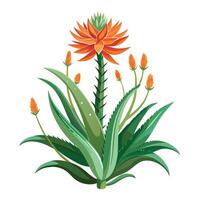 Intricate Details of an Aloe Vera Plant in a Natural Setting with Wildflowers and Butterflies vector