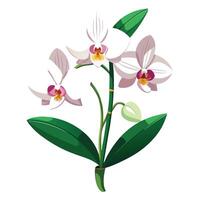 Intricate Details of an Orchid Plant in a Natural Setting with Wildflowers and Butterflies vector