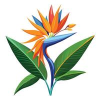 Vibrant Bird of Paradise Plant with Brightly Colored Flowers and Leaves in a Natural Setting with a Fence vector