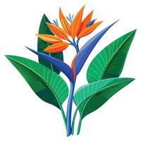Intricate Details of a Bird of Paradise Plant in a Natural Setting with Wildflowers and Butterflies Isollated with White Background vector