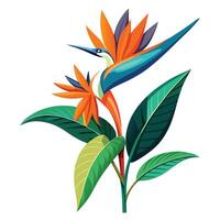 Beautiful Bird of Paradise Plant with Exotic Flowers and Leaves in a Natural Setting with a Trellis vector