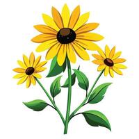 Vibrant Black-Eyed Susan Plant with Delicate Flowers and Leaves in a Natural Setting Isollated with a White Background vector