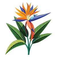 Botanical Depiction of a Bird of Paradise Plant in Full Bloom with Green Leaves and Stems in a Natural Setting with a Garden Bench vector