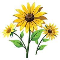 Intricate Details of a Black-Eyed Susan Plant in a Natural Setting with Wildflowers and Butterflies Isollated with a White Background vector
