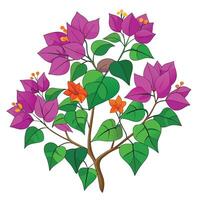 Intricate Details of a Bougainvillea Plant in a Natural Setting with Wildflowers and Butterflies vector
