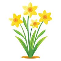Daffodil Plant with Pink Flowers and Green Leaves in a Garden Setting Isollated with a White Background vector