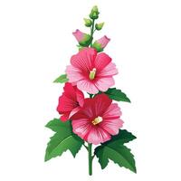 Detailed Illustration of a Hollyhock Plant with White Petals and Long Stems vector