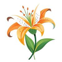 Lily Flower with Purple Petals and Green Leaves in a Garden Setting vector