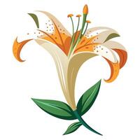 Lily Flower with Yellow Petals and Green Leaves in a Garden Setting vector