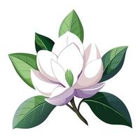Magnolia Flower with Yellow Petals and Green Leaves in a Garden Setting vector
