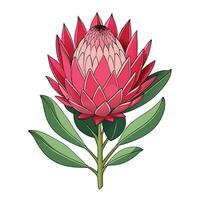Intricate Details of a Protea Flower Plant in a Natural Setting with Wildflowers and Butterflies vector