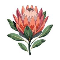 Intricate Details of a Protea Plant in a Natural Setting with Wildflowers and Butterflies vector