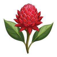 Intricate Details of a Torch Ginger Flower in a Natural Setting with Wildflowers and Butterflies vector