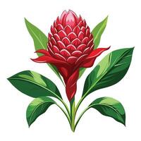 Vibrant Torch Ginger Flower with Brightly Colored Flowers and Leaves in a Natural Setting vector