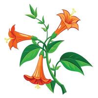 Vibrant Trumpet Vine with Brightly Colored Flowers and Leaves in a Natural Setting vector