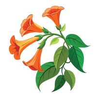 Intricate Details of a Trumpet Vine in a Natural Setting with Wildflowers and Butterflies vector