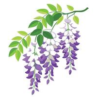 Intricate Details of a Wisteria Flower in a Natural Setting with Wildflowers and Butterflies vector
