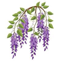 Vibrant Wisteria Vine with Brightly Colored Flowers and Leaves in a Natural Setting vector
