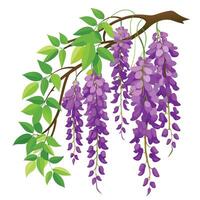 Intricate Details of a Wisteria Vine in a Natural Setting with Wildflowers and Butterflies vector