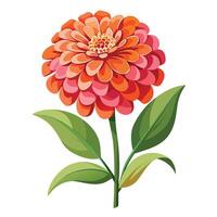 Intricate Details of a Zinnia Plant in a Natural Setting with Wildflowers and Butterflies Isollated with a White Background vector