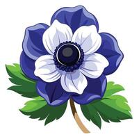 Detailed Illustration of an Anemone Flower Plant with White Petals and Long Stems vector
