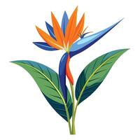 Intricate Details of a Bird of Paradise Plant in a Natural Setting with Wildflowers and Butterflies Isollated by White Background vector