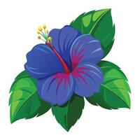 Detailed Illustration of a Blue Hibiscus Flower with White Petals and Long Stems vector