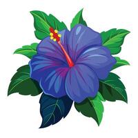 Blue Hibiscus Flower with Yellow Petals and Green Leaves in a Garden Setting vector