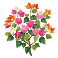 Bougainvillea Plant with Yellow Flowers and Green Leaves in a Garden Setting vector