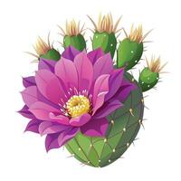 Beautiful Cactus Flower in Full Bloom with Bright Pink Petals and Green Leaves vector