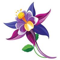 Detailed Illustration of a Columbine Flower with White Petals and Long Stems vector