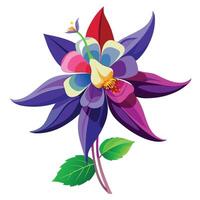Columbine Flower with Pink Petals and Green Leaves in a Garden Setting vector