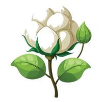 Cotton Flower with Yellow Petals and Green Leaves in a Garden Setting vector