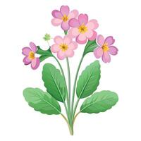 Intricate Details of a Delicate Primrose Plant in a Natural Setting with Wildflowers and Butterflies vector