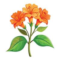 Vibrant Firecracker Flower with Brightly Colored Flowers and Leaves in a Natural Setting vector