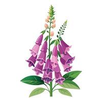 Vibrant Foxglove Plant with Brightly Colored Flowers and Leaves in a Natural Setting vector