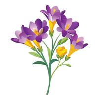 Vibrant Freesia Plant with Brightly Colored Flowers and Leaves in a Natural Setting vector