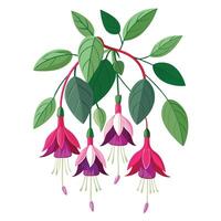 Intricate Details of a Fuchsia Plant in a Natural Setting with Wildflowers and Butterflies vector