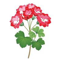 Intricate Details of a Geranium Plant in a Natural Setting with Wildflowers and Butterflies vector
