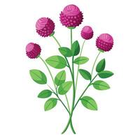 Intricate Details of a Globe Amaranth Plant in a Natural Setting with Wildflowers and Butterflies vector
