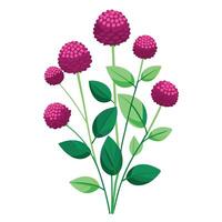 Vibrant Globe Amaranth Plant with Brightly Colored Flowers and Leaves in a Natural Setting vector