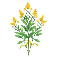 Intricate Details of a Goldenrod Plant in a Natural Setting with Wildflowers and Butterflies Isollated on White Background vector