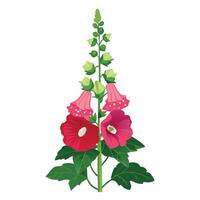 Vibrant Hollyhock Plant with Brightly Colored Flowers and Leaves in a Natural Setting vector