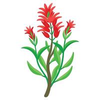 Vibrant Kangaroo Paw Plant with Brightly Colored Flowers and Leaves in a Natural Setting vector