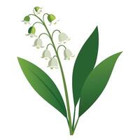 Vibrant Lily of the Valley Plant with Brightly Colored Flowers and Leaves in a Natural Setting vector