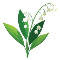 Intricate Details of a Lily of the Valley Plant in a Natural Setting with Wildflowers and Butterflies vector