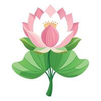 Vibrant Lotus Flower Plant with Brightly Colored Flowers and Leaves in a Natural Setting vector