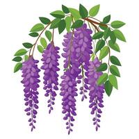 Rich Purple Wisteria with Yellow Flowers and Green Leaves in a Garden Setting vector
