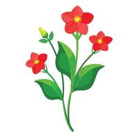 Detailed Illustration of a Scarlet Pimpernel Plant with White Petals and Long Stems vector