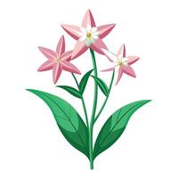 Shooting Star Plant with Yellow Flowers and Green Leaves in a Garden Setting vector